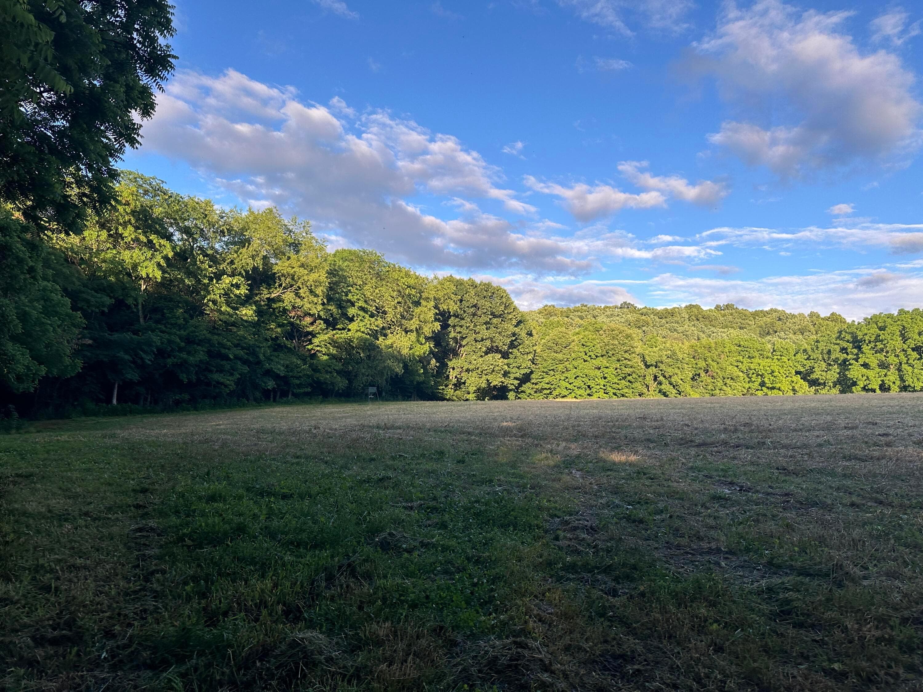 9133 Township Road 51, Mount Perry, OH 43760