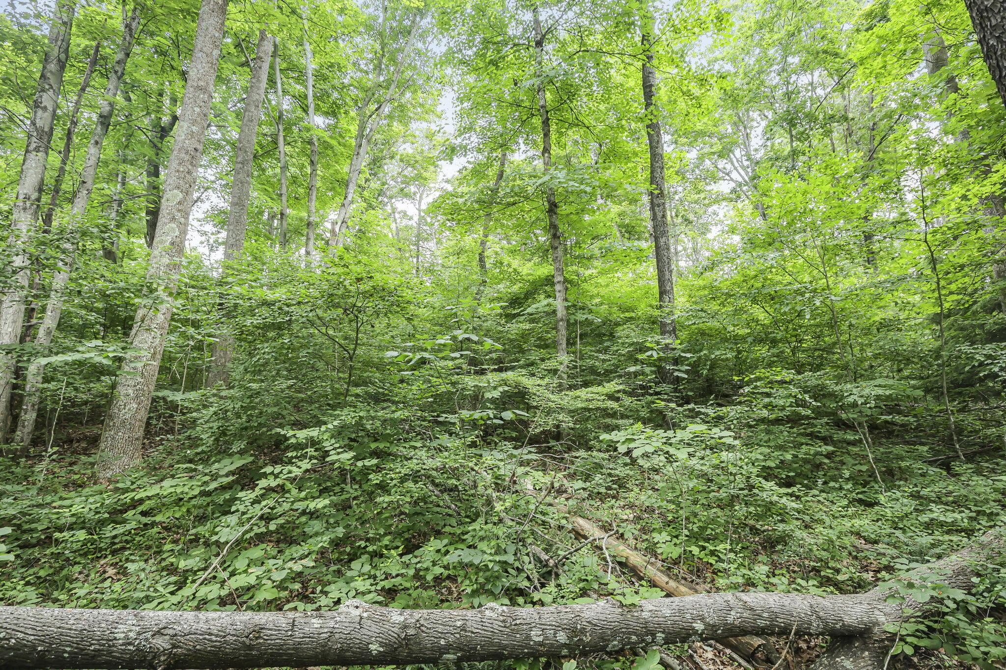 21671 Chilcote Road, South Bloomingville, OH 43152