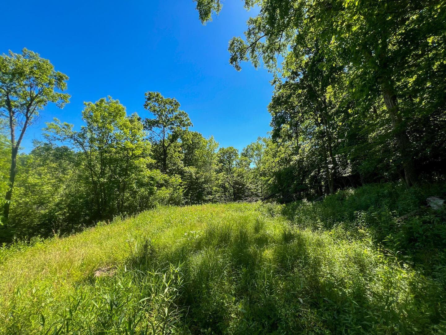 0 Rush Run Road, Rayland, OH 43943