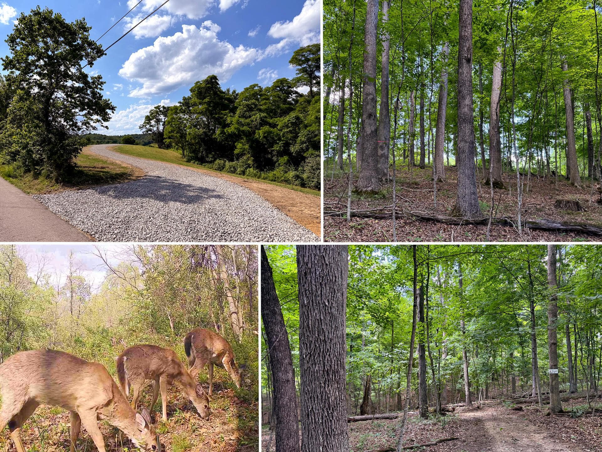 0 Cutlip St #(Tract 6 at Jackson Oaks), Jackson, OH 45640