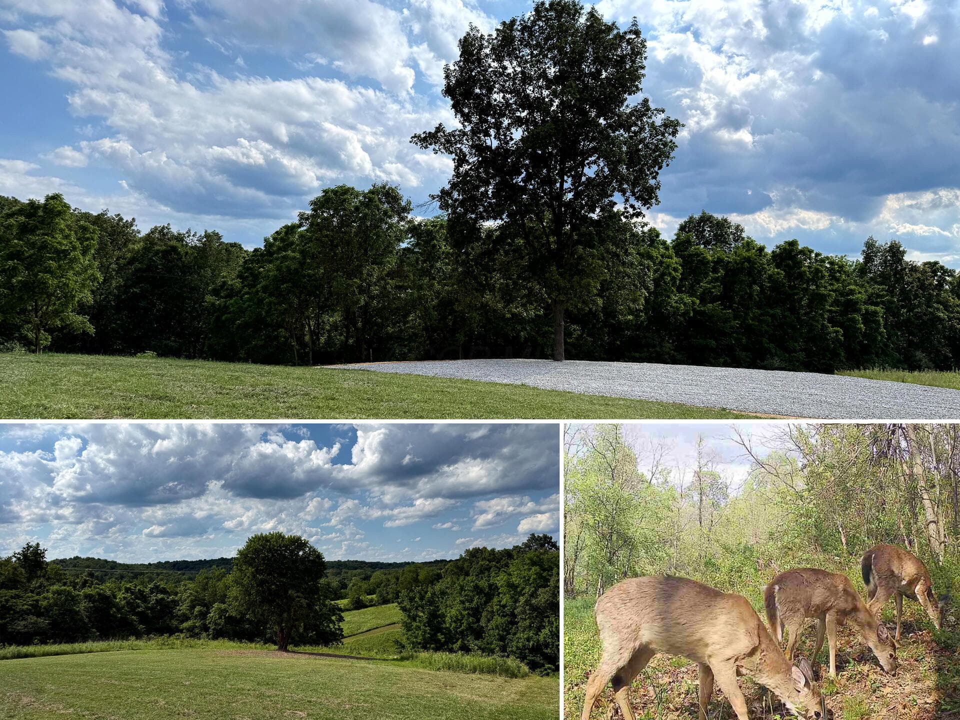 0 Cutlip St #(Tract 5 at Jackson Oaks), Jackson, OH 45640