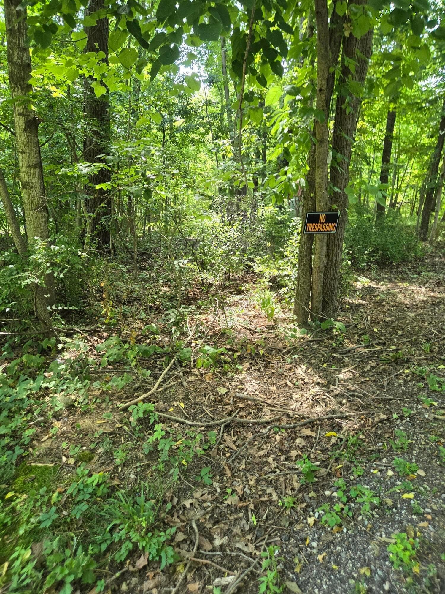 0 Myrna Drive N, Powell, OH 43065