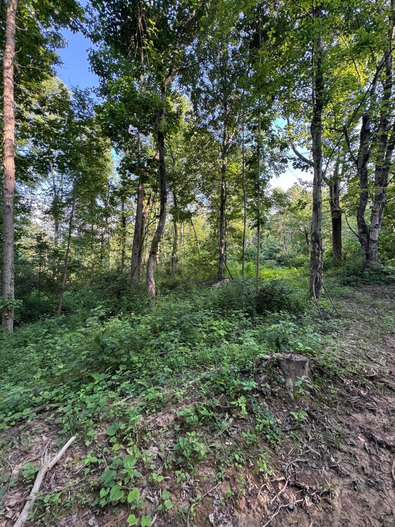 0 Morganstern Lane, Beverly, OH 45715