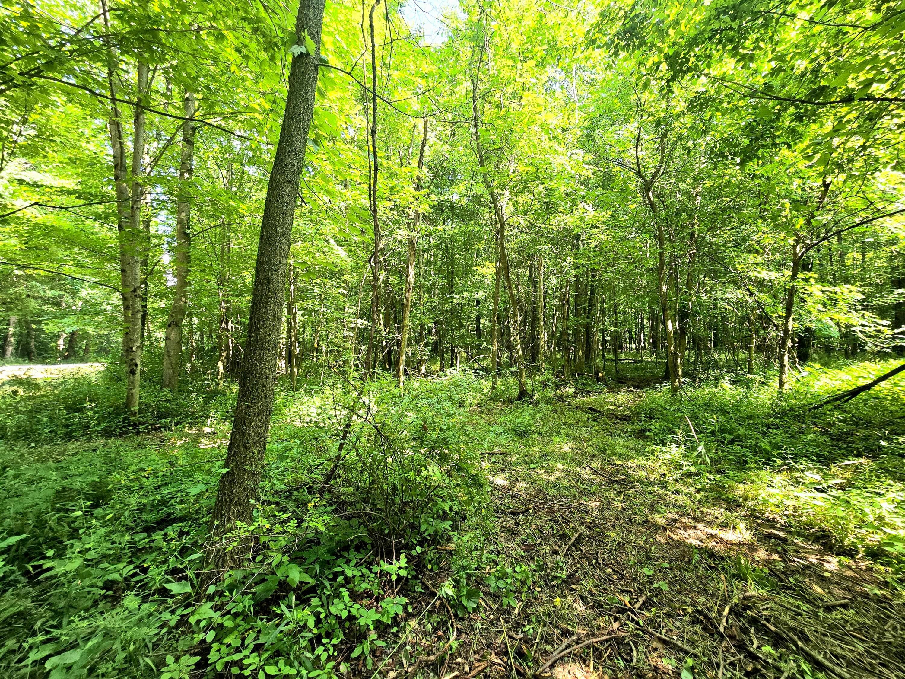 9026-1 Gregg Road, Fredericktown, OH 43019