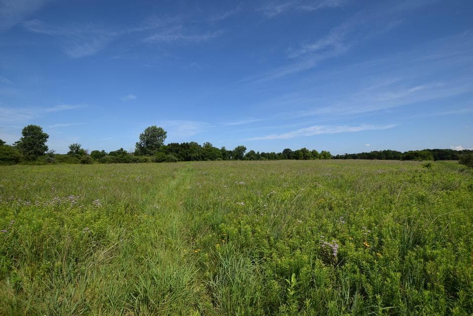 0 Millerstown Road, Urbana, OH 43078