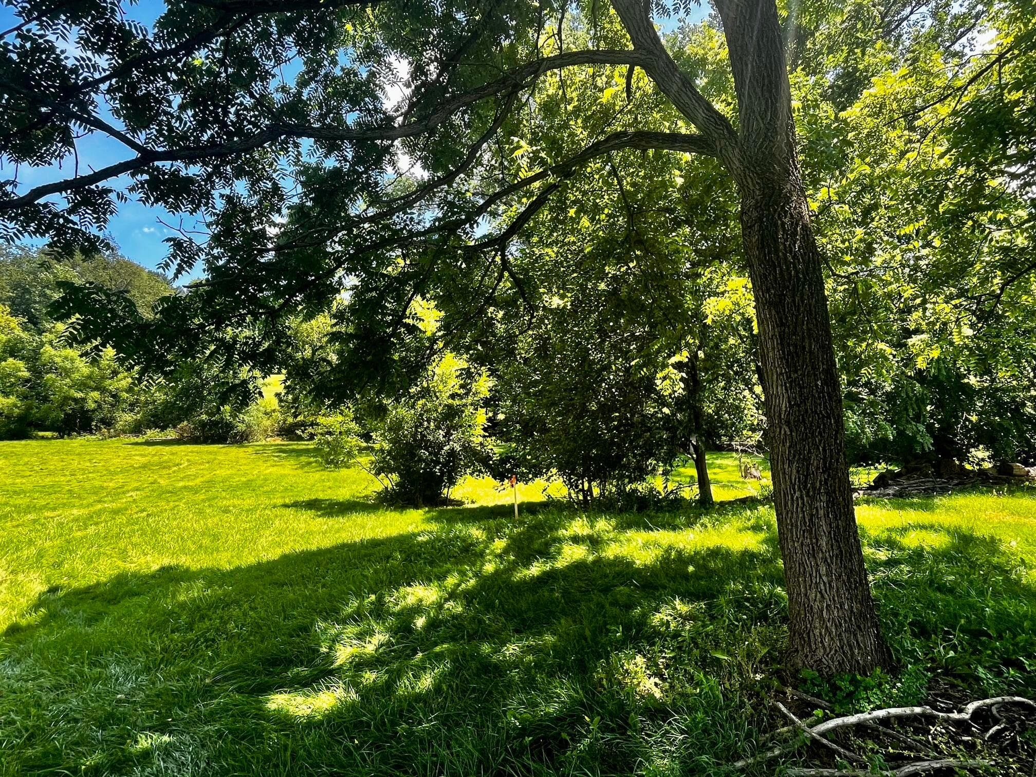 0 Wooster Road, Mount Vernon, OH 43050