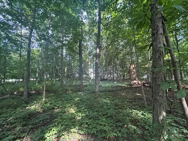 5387 Dildine Road, Delaware, OH 43015