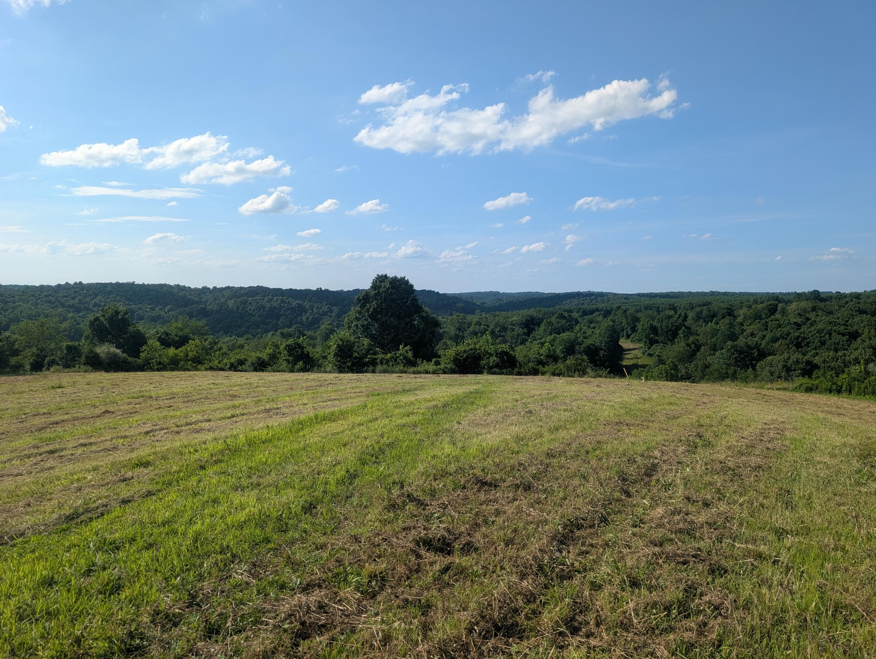 5055 Early Ridge, Mcconnelsville, OH 43756