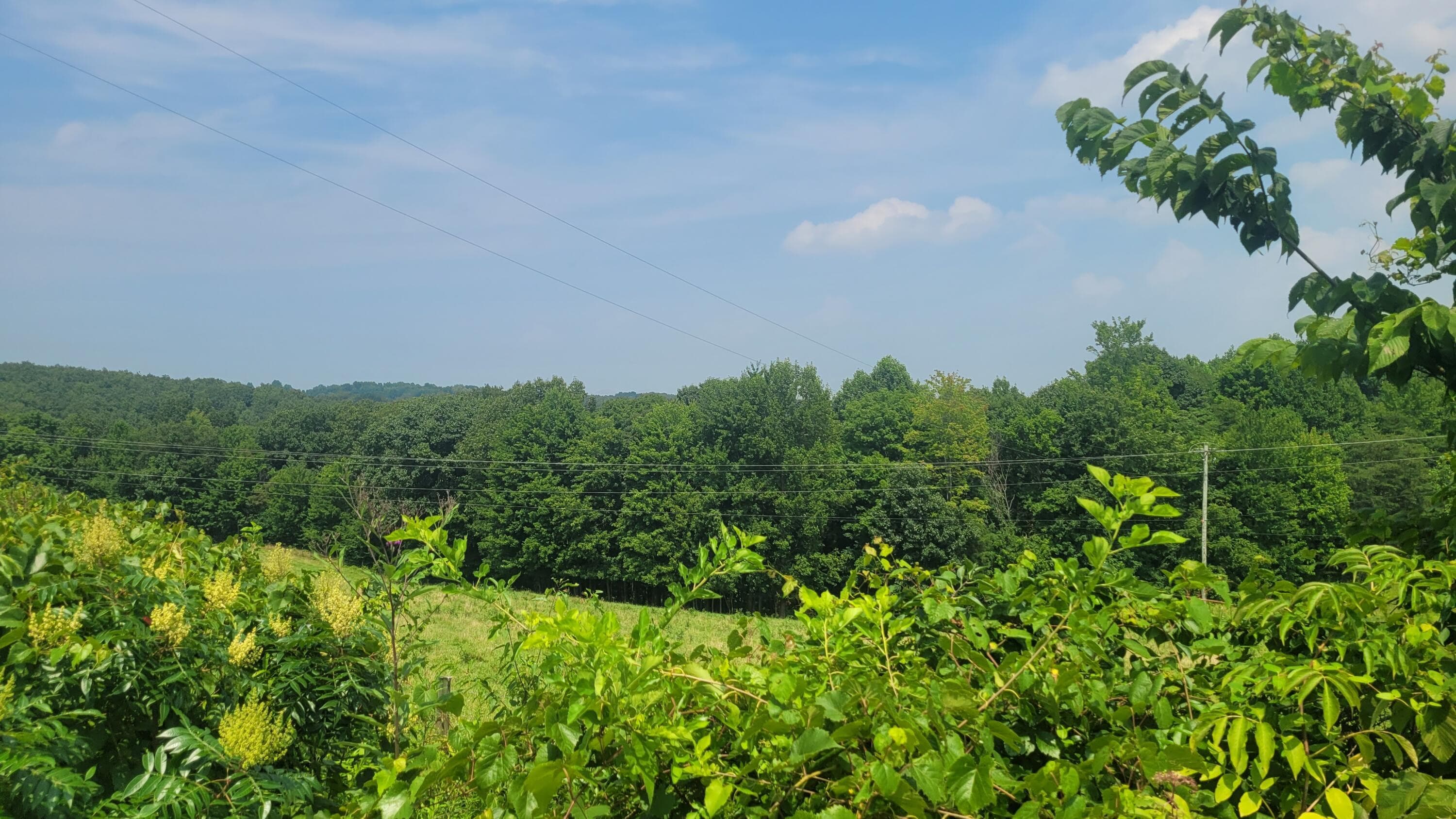 1561 Wickline Road, Beaver, OH 45613