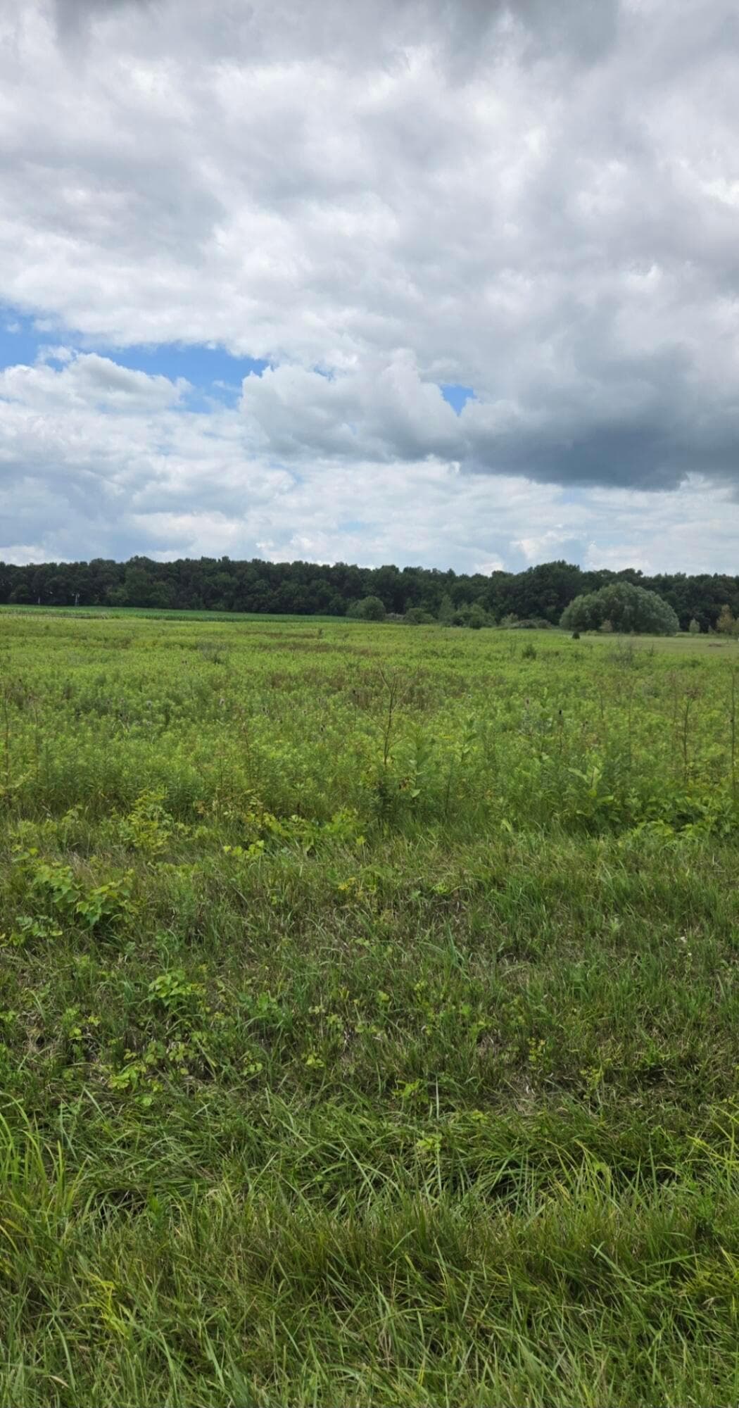 26065 Lunda Road, West Mansfield, OH 43358