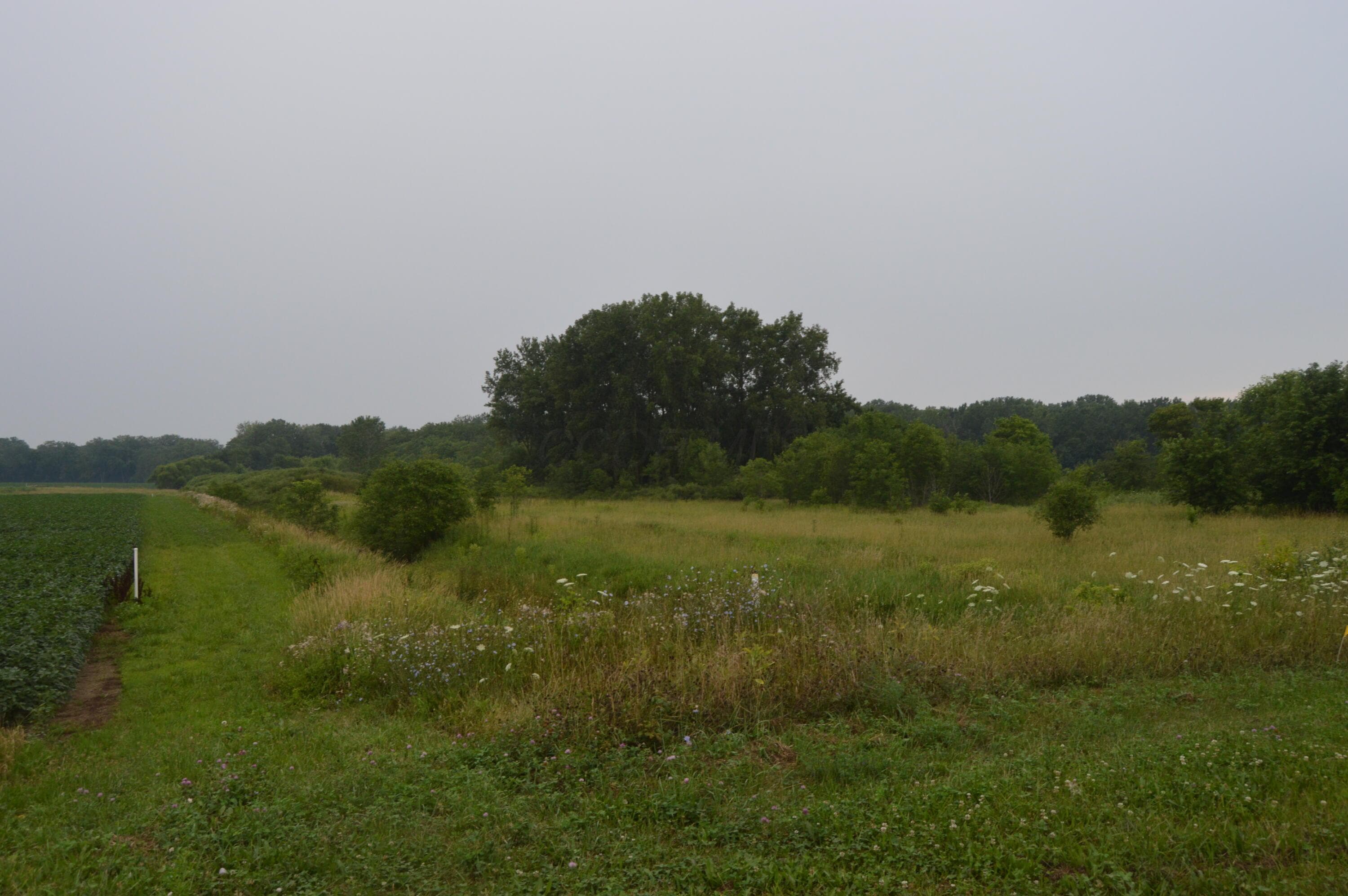 0 County Road 23, Archbold, OH 43502