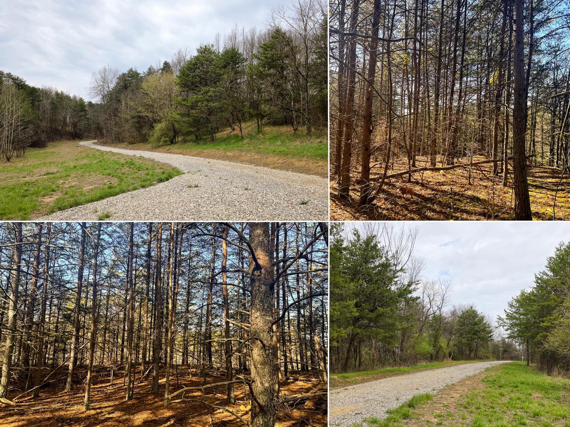 780 Nibert Road #(Ponds Poplar Ridge Tract 7), Gallipolis, OH 45631