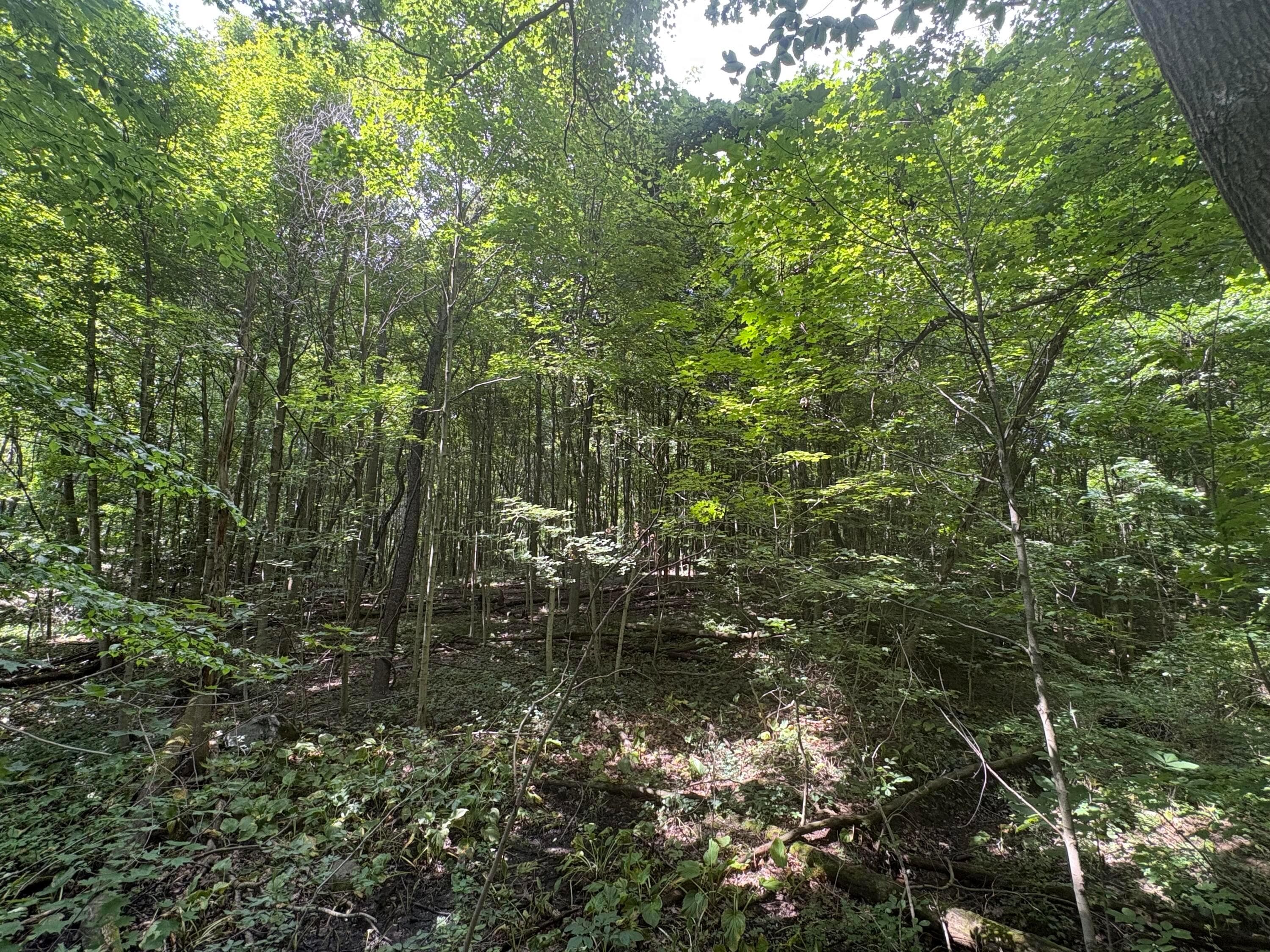 3645 Township Rd 161, Marengo, OH 43334