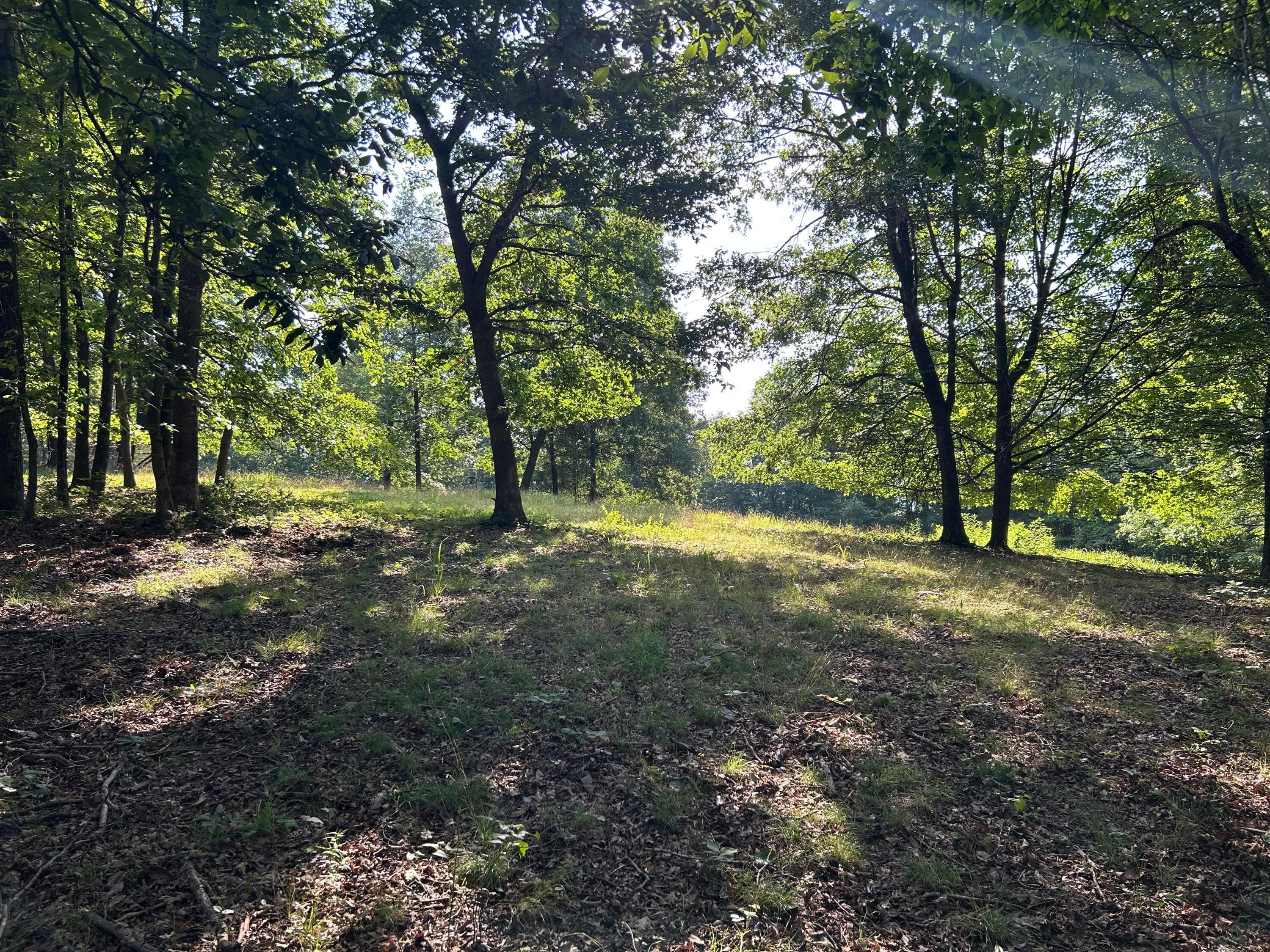 6741 Big Spruce Little Bear Road, Otway, OH 45657