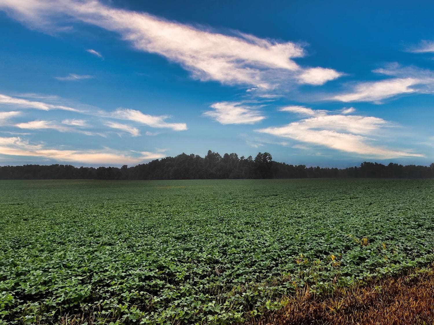 0 Township Road 114, Mount Gilead, OH 43338