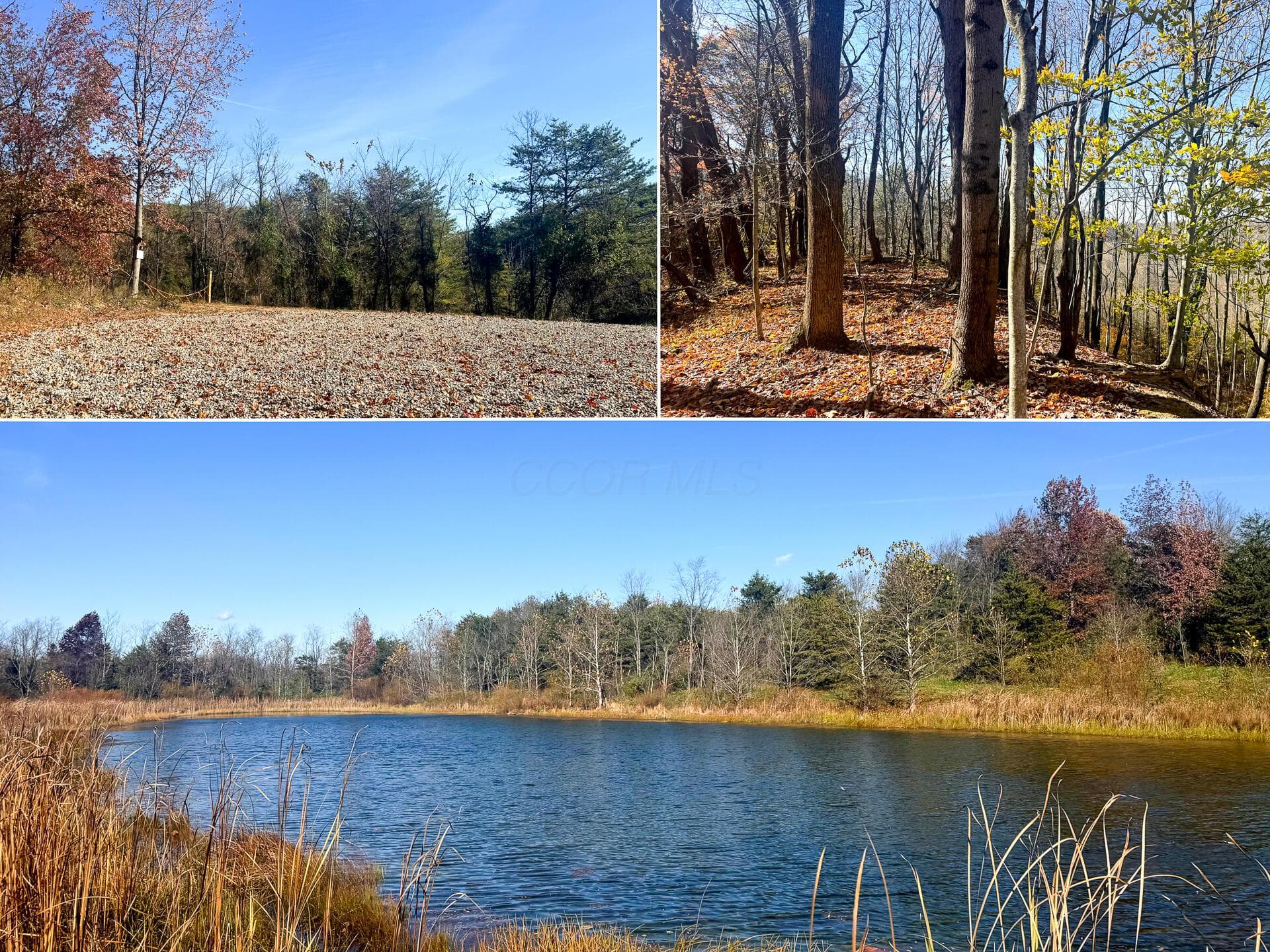 808 Nibert Road #( Tract 5 Ponds Poplar Ridge), Gallipolis, OH 45631