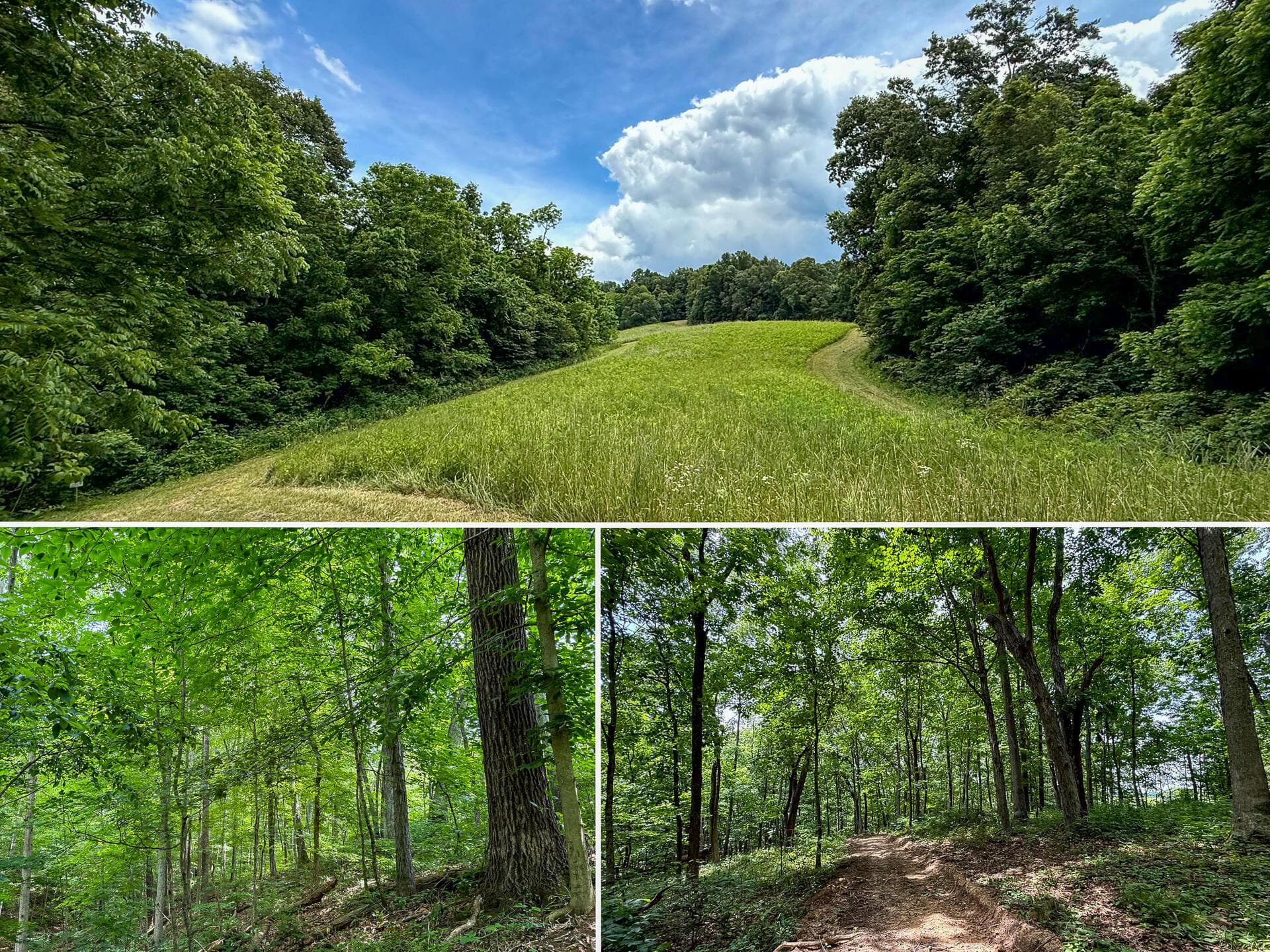0 Cutlip St #(Tract 8 at Jackson Oaks), Jackson, OH 45640