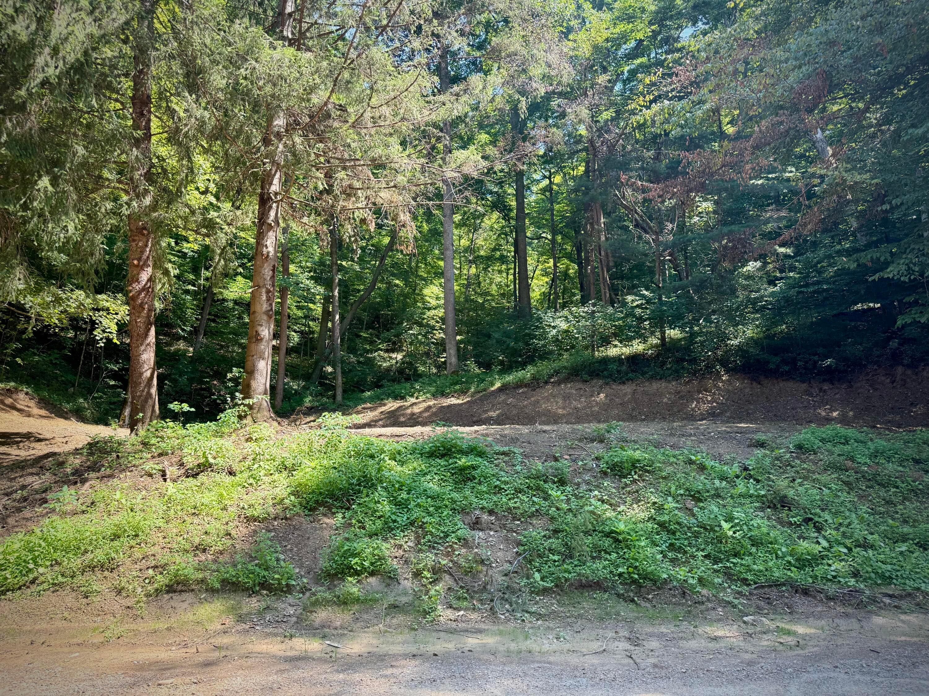 31700 Dixon Mill Road, Londonderry, OH 45647