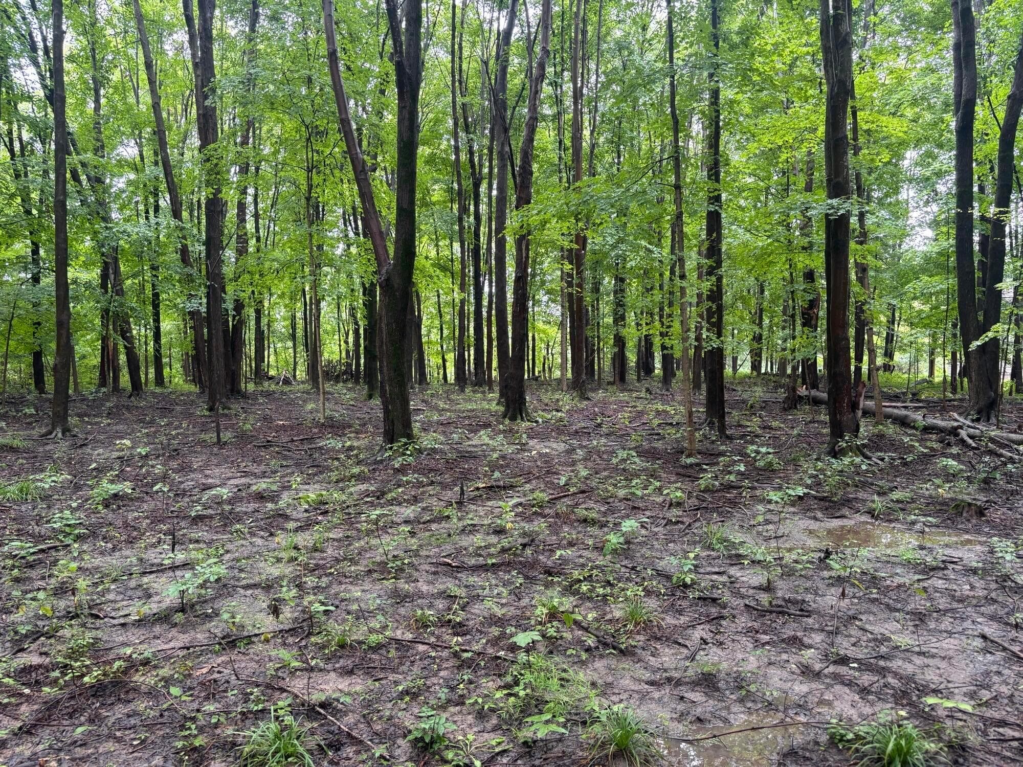0 Orange, Delaware, OH 43015