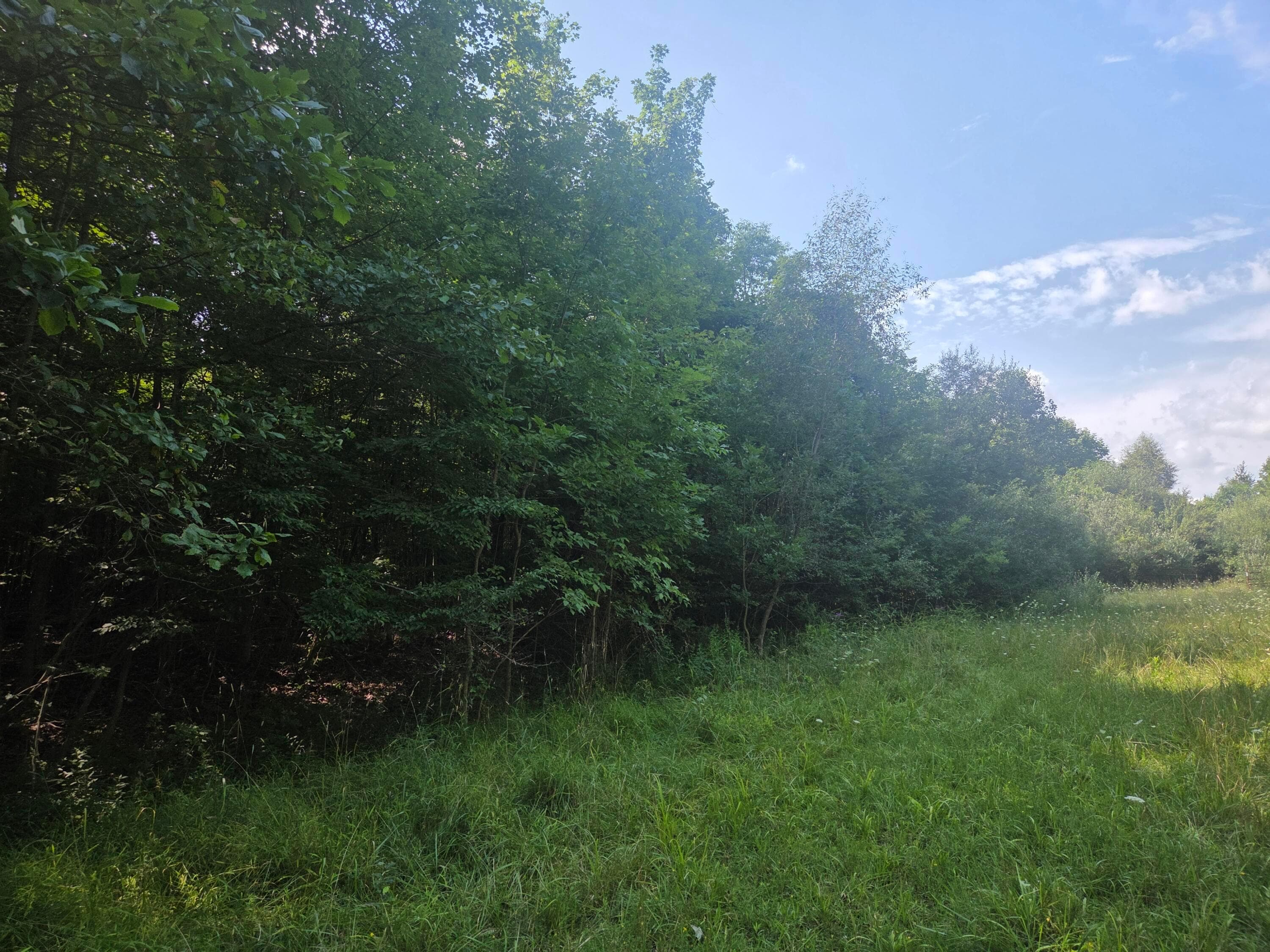 7326 Ohio 19 #Unit 10 Lot 277, Mount Gilead, OH 43338