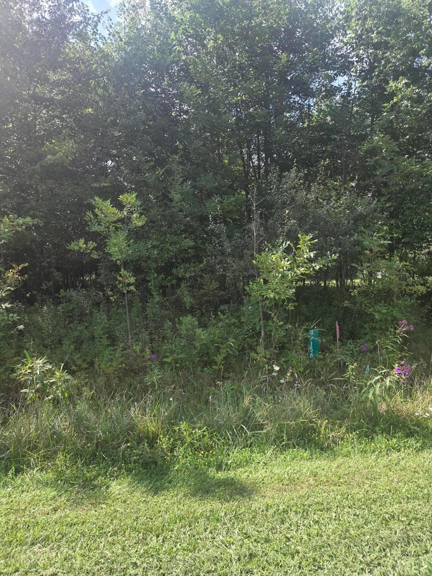 0 Cranberry Trail Road, Mount Gilead, OH 43338